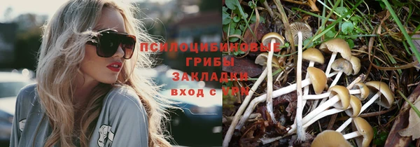 таблы Арсеньев